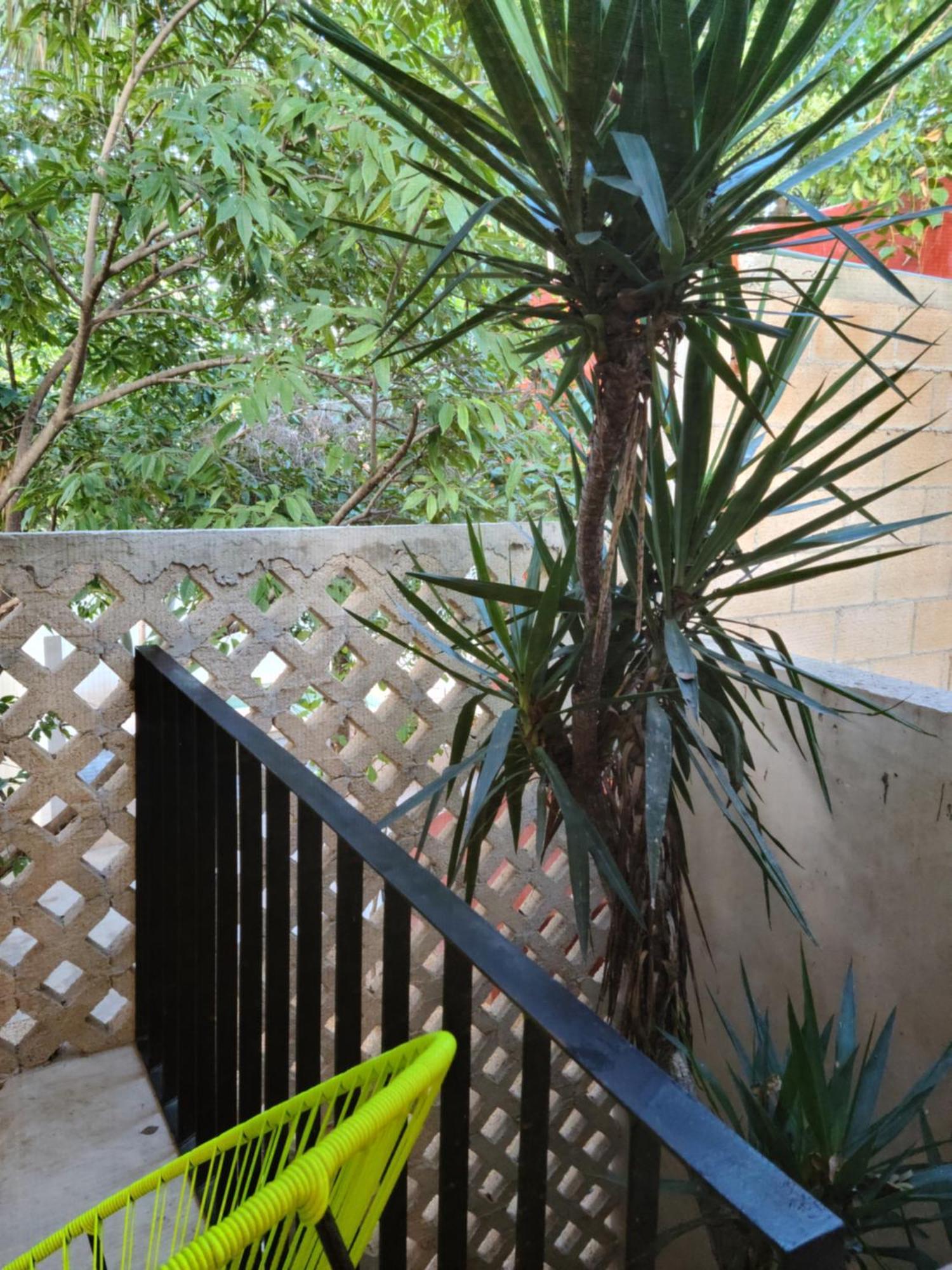 فندق Casa Ramona ميريدا المظهر الخارجي الصورة